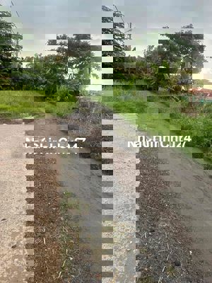 đất sổ chung thới an 16 nối dài .4m x 12m