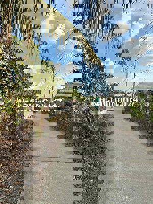 ❌ Đất lúa rẻ - Xã Lợi Bình Nhơn - Tp Tân an ❌