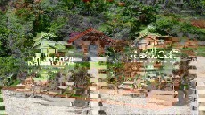 Bán Lỗ Mảnh Đất 3514m2 Cách Quốc Lộ 20 500m Bảo Lộc chỉ từ 650Tr