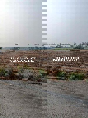 bán 521m mặt tiền nhựa láng cát tân nhựt Bình Chánh