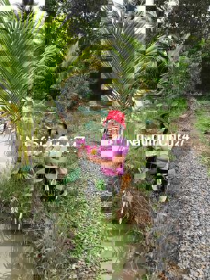 đất mặt tiền đường nhựa, ruộng và vườn