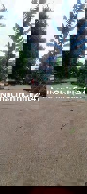 ĐẤT VƯỜN 20x50 ĐƯỜNG HIỆP BÌNH  PHƯỜNG Hiệp THÀNH THỦ ĐỨC