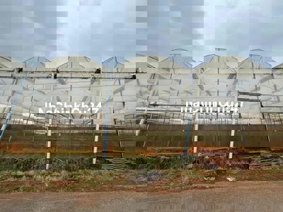 500m2 đất sổ riêng nông nghiệp xuân thọ