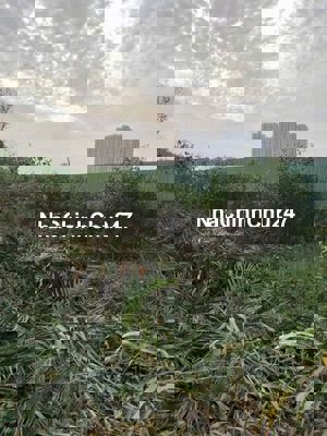 🌟 BÁN ĐẤT NÔNG NGHIỆP SỔ HỒNG – VỊ TRÍ VÀNG QUẬN 7 🌟