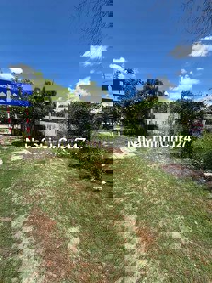 Cần tiền nên bán