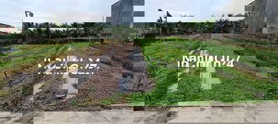 Bán đất nông nghiệp