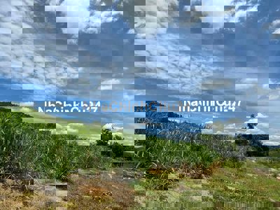 2000M2 ĐẤT SÁT SUỐI GIÁ RẺ , SỔ ĐỎ