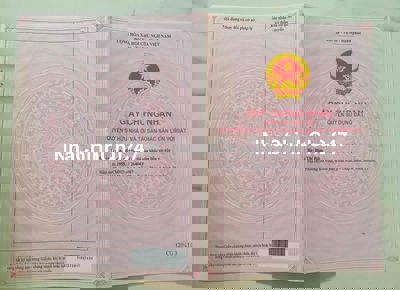 Đất ruộng mặt tiền đường tại p. Đô Vinh, TP. Phan Rang, Tháp Chàm, NT