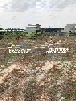 Bán đất 197.4m², DSH, hướng Đông, đường lớn – Phước An