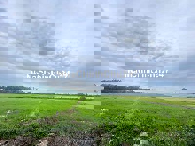 Cần Bán Lô Đất Thổ Cư Đường Xe Hơi Gần VinGruop Xã Xuân Thới Sơn