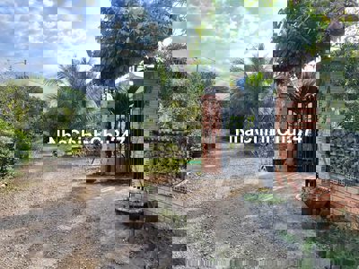 3040m2 vườn trái cây tại Long Khánh, có nhà nhỏ, đường ô tô thông