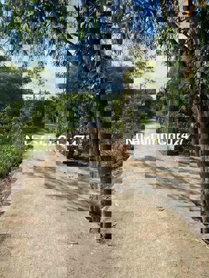 BÁN ĐẤT BÌNH CHÁNH GIÁ RẺ 4.400M2 Đường xe tải giá 8ti