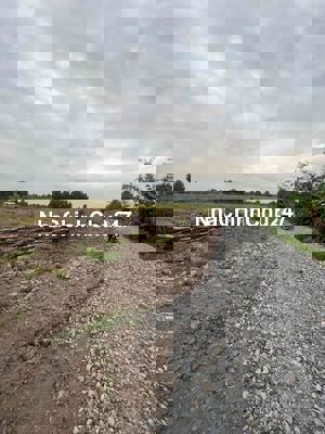 Bán vườn 500m2 thủ thừa - Ngay cây xăng Bảo Anh cũ