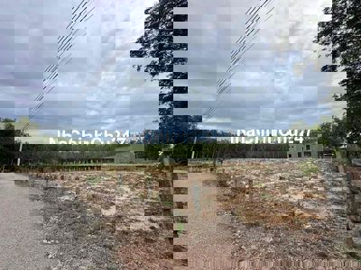 Bán Đất XÃ ĐỊNH THÀNH