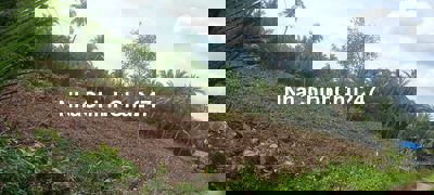 Đất vườn nghỉ dưỡng gần Trung Tâm Tp. Bến Tre