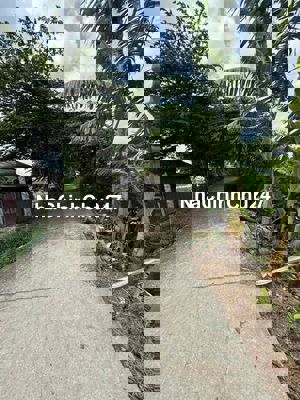 đất ruộng giá rẻ