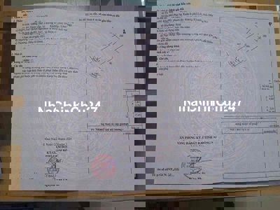 Bán gấp vườn sầu riêng đang thu hoạch chỉ 800 triệu tại TP.Long Khánh