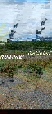 Đất xã lộc thành , lộc ninh . Bình Phước.