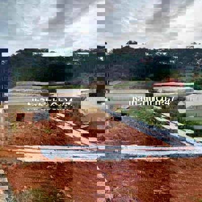 Bán đất đẹp tại Đà Lạt – giá cực mềm cho nhà đầu tư