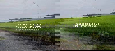 CẤN BÁN ĐẤT LÚA GẦN DỰ ÁN VIN VÀ SỞ THÚ MỸ QUỲNH