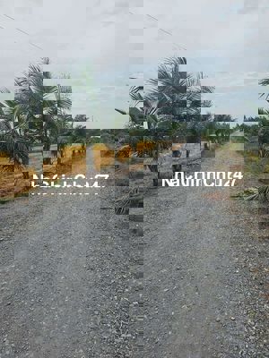 Bán đất xã Hựu Thạnh Long An