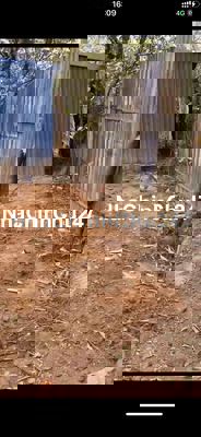 BÁN ĐẤT NÔNG NGHIỆP