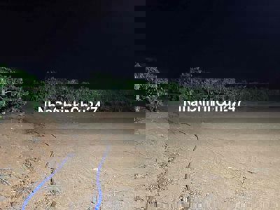 Bán Rẫy Cà Phê Tiêu