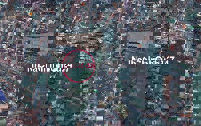 Gia đình cần bán 1 mẫu ruộng hơn 10 nghìn m2 giá tốt gấp