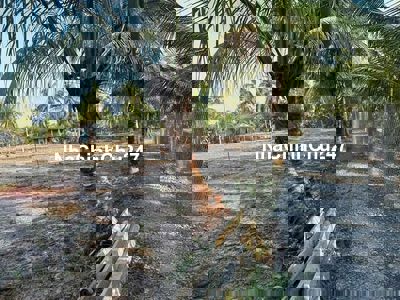 Chỉ cần 234 triệu có ngay 573m (10x57) cách SG chỉ 75km