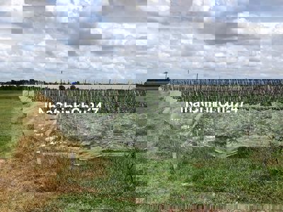 Chính Chủ chuyển công tác. Bán Gấp đất trông cấy hàng năm DT 18,7x45