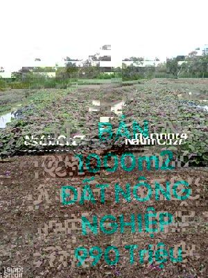 BÁN ĐẤT NÔNG NGHIỆP SỔ ĐỎ 1000 m2 , Huyện Châu Thành , Tiền Giang