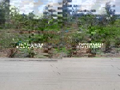 Đất Thành Phố Gò Công, 1735m2  nở hậu, xe hơi vi vu, có sổ hồng