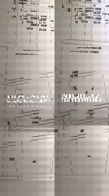 Đất trồng cây lâu năm