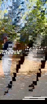 BÁN ĐÂT ĐƯỜNG HÙNG VƯƠNG - XÃ PHƯỚC AN, NHƠN TRẠCH