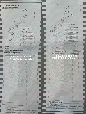 ĐẤT LÚA GẦN 2000m2 Xã Mỹ Thạnh, Long an