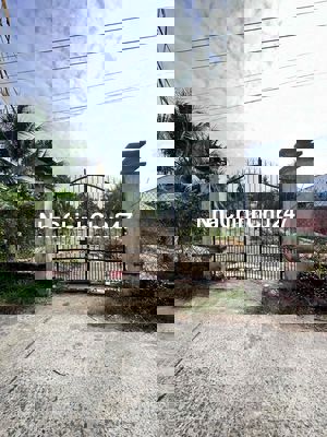 cần bán đất đường 5m xe tải , ấp đại đinh , xã hữu định bến tre