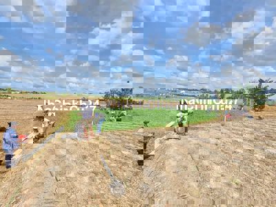 Đất Trồng cây lâu năm 336m2  Long Vĩnh, gò Công Tây, tiền giang