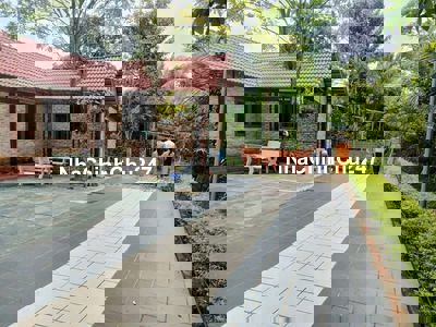 Đẹp quá anh chị 2000m2 nhà vườn ao cá cây ăn trái