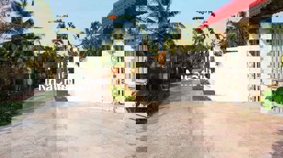 5,2 MẪU VƯỜN DỪA CHÂU THÀNH BẾN TRE