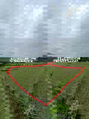 Chính chủ cần bán đất Mặt tiền ngay Quốc Lộ 1A (320,1m2)