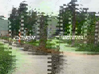 BÁN ĐẤT QH DÂN CƯ XÂY DỰNG MỚI Bình Chánh  Cho lên thổ cư