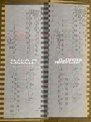 Đất có sổ đỏ 2 lô liền nhau mỗi lô 61-62m2 Phúc Lợi, Long Biên