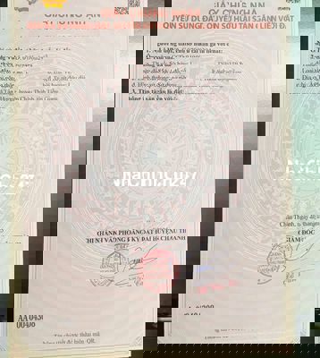 Bán đất ngay KCN Tân Hương, ngang 10m full thổ cư, cách QL1A 500m