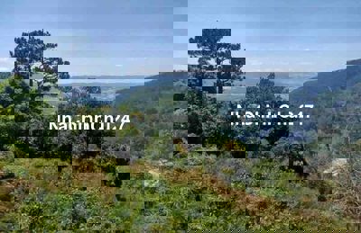 Định cư nước ngoài cần bán 210m2 đường Đèo Mimosa Đà Lạt giá 550 trieu