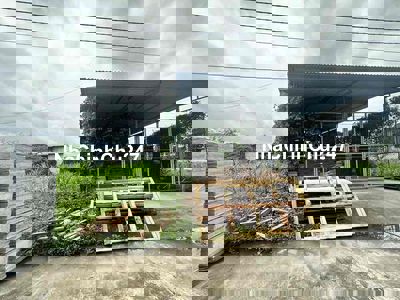 Bán đất TĐC Đình Tổ, Thuận Thành, Bắc Ninh 81m, mt5m. Giá 3.5 tỷ.