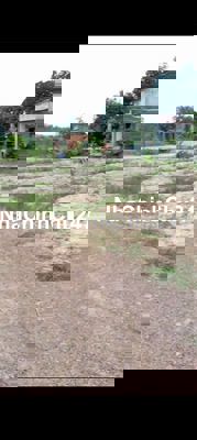 BÁN ĐẤT DẦU TIẾNG "2héc3" LÀM KHU SINH THÁI.