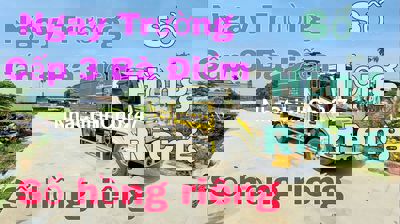 BÁN ĐẤT NGAY TRƯỜNG CẤP 3 BÀ ĐIỂM CHỢ ĐẦU MỐI HÓC MÔN
