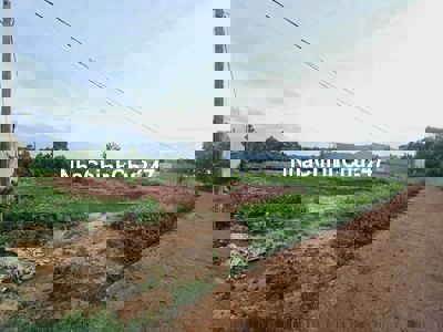 🏡 ĐẤT MẶT TIỀN ĐƯỜNG A1 – THÔN 4, CƯ BUA