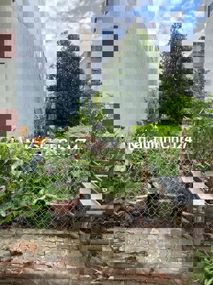 bán đất mặt tiền đường 10m5 nguyễn hồng ánh