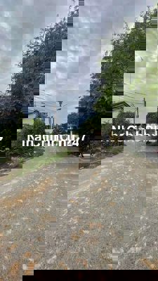 Về quê cần bán gấp lô MTĐ Hoàng Phan Thái, Bình Chánh,HCM, DT 110m2,SR